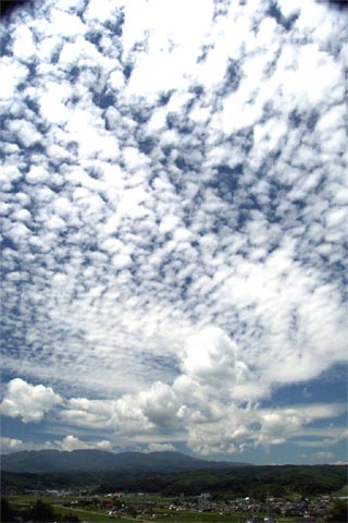 �̤�ġ����ʻ�
2002.07.08